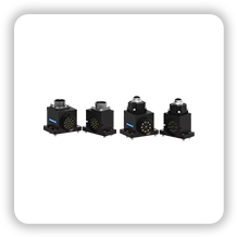 erfergf.webp