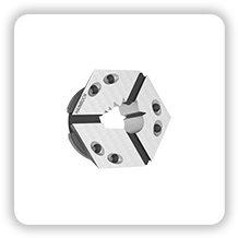 sasa.webp